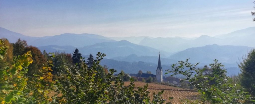 Bellum omnium contra omnes ali Kako (zavistno) zelena je moja dolina