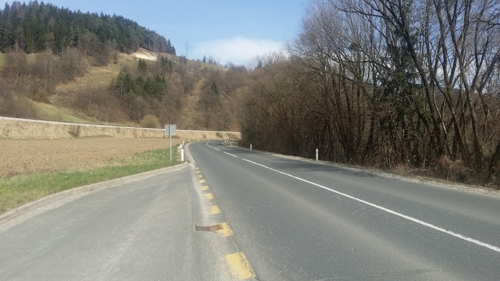 Drevo na cestišču