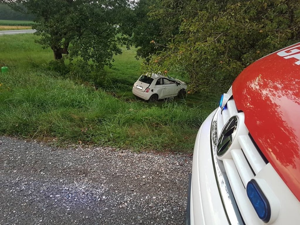 V Spodnji Vižingi s ceste na travnik