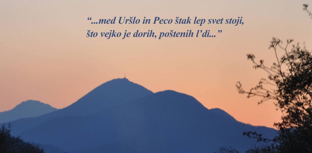 Koroški rod je zun!